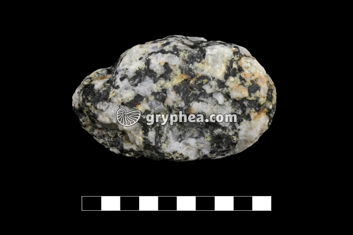 Galet de granitoïde - échantillon - gryphea.org